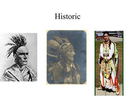 Historic Wyandot The Wyandot tribe formed from tribes fleeing the Iroquois Women leaders choose the chief The settled in villages mainly along the Sandusky.