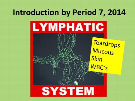 Introduction by Period 7, 2014