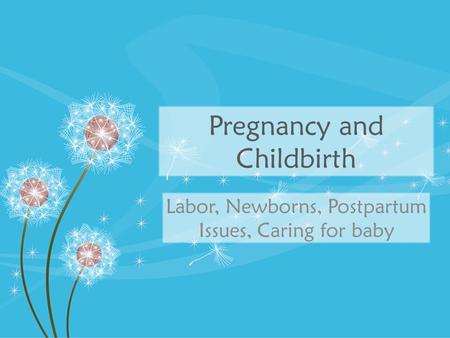 Pregnancy and Childbirth