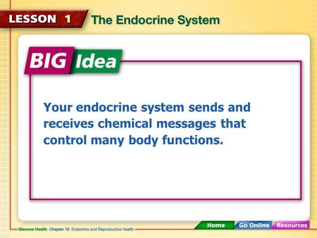 Endocrine glands hormones thyroid gland parathyroid glands pancreas pituitary glands adrenal glands.