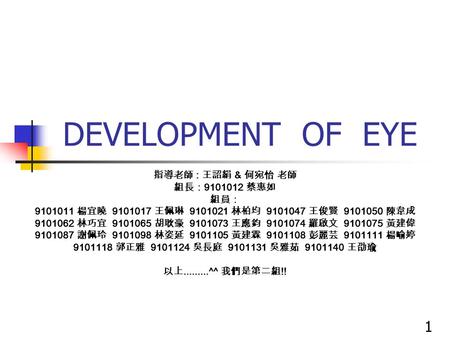 DEVELOPMENT OF EYE 指導老師 : 王詔絹 & 何宛怡 老師 組長： 9101012 蔡惠如 組員： 9101011 楊宜曉 9101017 王佩琳 9101021 林柏均 9101047 王俊賢 9101050 陳韋成 9101062 林巧宜 9101065 胡耿豪 9101073.