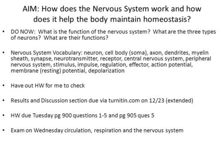 DO NOW: What is the function of the nervous system