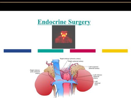 Copyright © 2004 Pearson Education, Inc., publishing as Benjamin Cummings Endocrine Surgery.