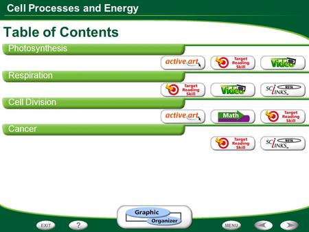 Table of Contents Photosynthesis Respiration Cell Division Cancer.