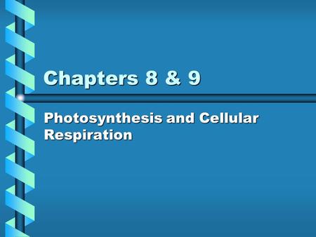 Photosynthesis and Cellular Respiration