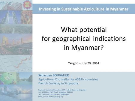 What potential for geographical indications in Myanmar?