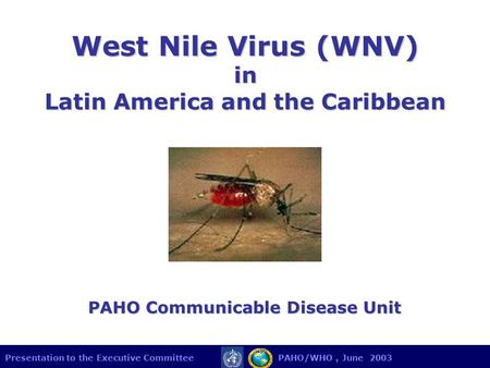 Presentation to the Executive Committee PAHO/WHO, June 2003 West Nile Virus (WNV) in Latin America and the Caribbean PAHO Communicable Disease Unit.