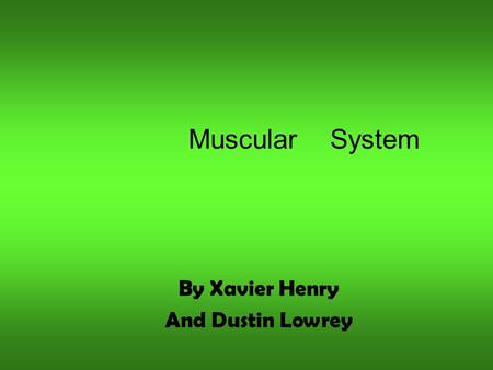 Muscular System By Xavier Henry And Dustin Lowrey.