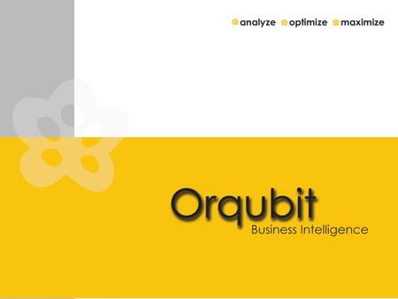 © 2010 Orchid Technical Consultancy (P) Ltd. Problems facing businesses today Non-availability of information on time –Delayed or improper decision making.