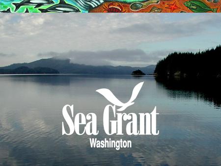 Survey Results from the 2010-2011 Pumpout Washington Campaign Northwest Marina & Boatyard Conference, Nov 10, 2011 Aaron Barnett, Washington Sea Grant.