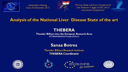 Analysis of the National Liver Disease State of the art THEBERA Theodor Bilharz into the European Research Area FP7 ERAWIDE INCO Project 2010-6-2 Sanaa.