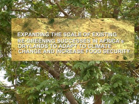 EXPANDING THE SCALE OF EXISTING EXPANDING THE SCALE OF EXISTING RE-GREENING SUCCESSES IN AFRICA’s DRYLANDS TO ADAPT TO CLIMATE CHANGE AND INCREASE FOOD.