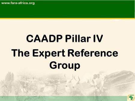 CAADP Pillar IV The Expert Reference Group 1www.fara-africa.org.