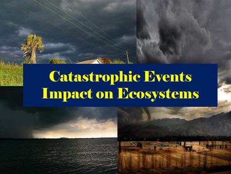 Catastrophic Events Impact on Ecosystems