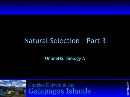 Natural Selection – Part 3