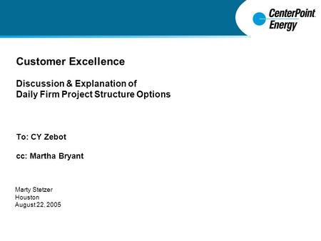 Customer Excellence Discussion & Explanation of Daily Firm Project Structure Options To: CY Zebot cc: Martha Bryant Marty Stetzer Houston August 22, 2005.