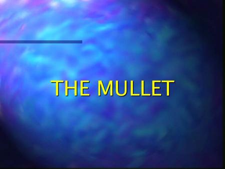 THE MULLET DEFINITION Mullet (mulit): a hairstyle, common among those of lower socio-economic status, consisting of short, well groomed hair on the anterior.