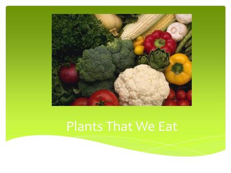 Plants That We Eat.