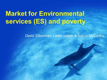 Market for Environmental services (ES) and poverty David Zilberman, Leslie Lipper & Nancy McCarthy.