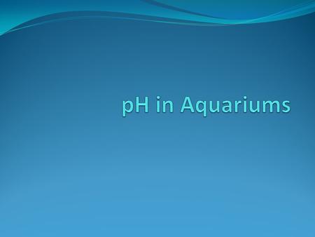 Quick Review Acids produce H + (also written as H 3 0 + ) ions in water Bases produce OH - ions in water H + + OH - → H 2 O An acid plus a base yields.