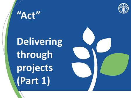 “Act” Delivering through projects (Part 1). Effective Country Programme = Effective Projects.