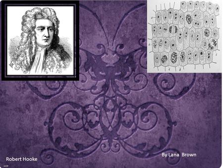 By Lana Brown Robert Hooke. Robert Hooke discovered cells and named them. Robert Hooke discovered cells in 1665 He was the first to discover cells by.