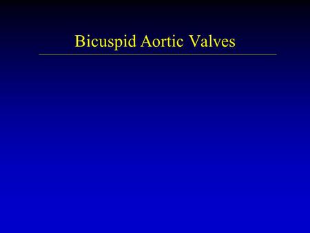 Bicuspid Aortic Valves