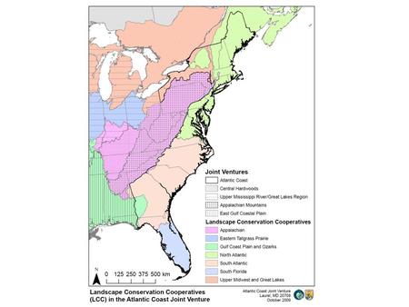 ACJV AMJV North Atlantic LCC Appalachian LCC ACFHP EBTJV NEPARC AFC NEAFWA ASMFC Bird Initiatives Joint Ventures Landscape Conservation Cooperatives Regional.