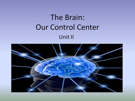 The Brain: Our Control Center