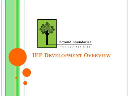 IEP Development Overview