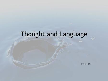 Thought and Language (PS) 264-271. Discuss with your partner. Someone leaves a beautiful puppy at your door. You don’t like animals, but you know it would.