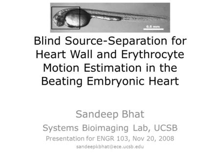 Blind Source-Separation for Heart Wall and Erythrocyte Motion Estimation in the Beating Embryonic Heart Sandeep Bhat Systems Bioimaging Lab, UCSB Presentation.