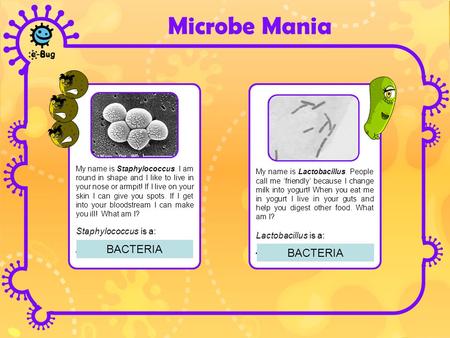 My name is Staphylococcus. I am round in shape and I like to live in your nose or armpit! If I live on your skin I can give you spots. If I get into your.