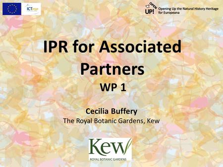 IPR for Associated Partners WP 1 Cecilia Buffery The Royal Botanic Gardens, Kew.