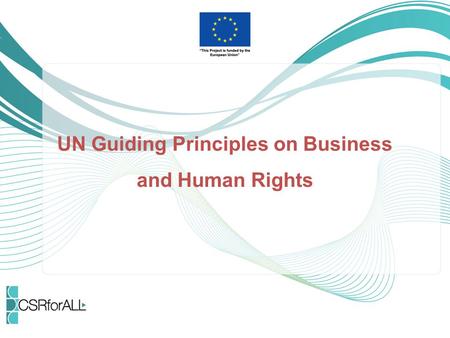 UN Guiding Principles on Business and Human Rights