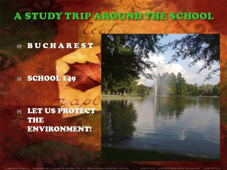  B U C H A R E S T  SCHOOL 149  LET US PROTECT THE ENVIRONMENT!