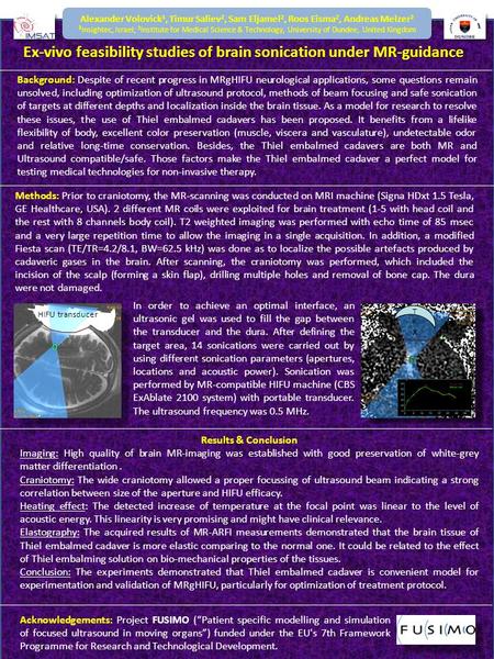 Alexander Volovick 1, Timur Saliev 2, Sam Eljamel 2, Roos Eisma 2, Andreas Melzer 2 1 Insightec, Israel; 2 Institute for Medical Science & Technology,