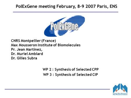 PolExGene meeting February, 8-9 2007 Paris, ENS CNRS Montpellier (France) Max Mousseron Institute of Biomolecules Pr. Jean Martinez, Dr. Muriel Amblard.