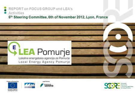 REPORT on FOCUS GROUP and LEA’s Activities 6 th Steering Committee, 6th of November 2012, Lyon, France 0.