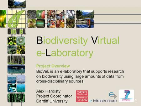 1 Biodiversity Virtual e-Laboratory Project Overview BioVeL is an e-laboratory that supports research on biodiversity using large amounts of data from.