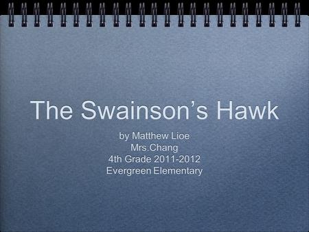 The Swainson’s Hawk by Matthew Lioe Mrs.Chang 4th Grade 2011-2012 Evergreen Elementary by Matthew Lioe Mrs.Chang 4th Grade 2011-2012 Evergreen Elementary.