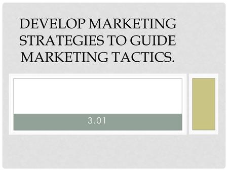 Develop marketing strategies to guide marketing tactics.