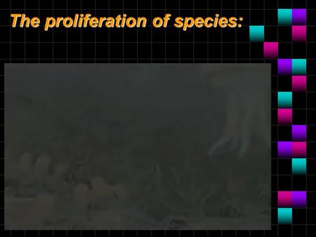 The proliferation of species:. Darwin and Mechanisms of Evolution The theory and why it works.