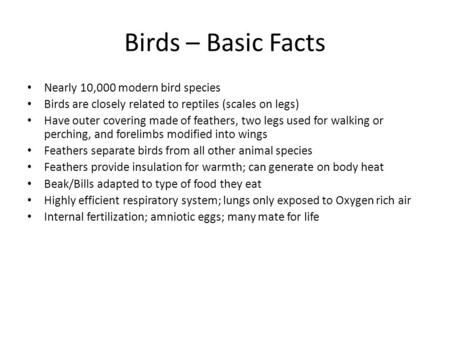 Birds – Basic Facts Nearly 10,000 modern bird species