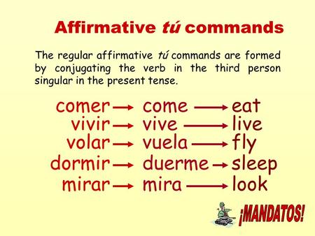 Affirmative tú commands The regular affirmative tú commands are formed by conjugating the verb in the third person singular in the present tense. comercomeeat.