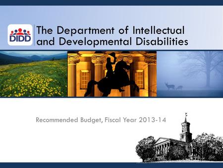 The Department of Intellectual and Developmental Disabilities Recommended Budget, Fiscal Year 2013-14.