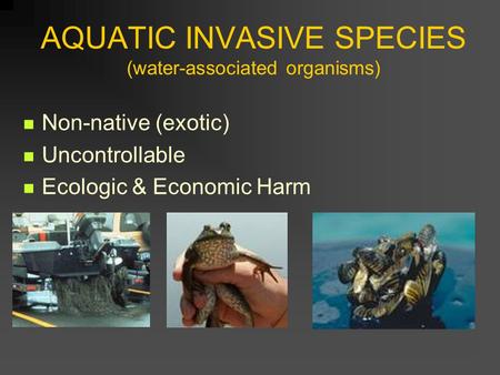 AQUATIC INVASIVE SPECIES (water-associated organisms) Non-native (exotic) Uncontrollable Ecologic & Economic Harm.