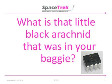 Monday July 14, 2014IC 5551 What is that little black arachnid that was in your baggie?