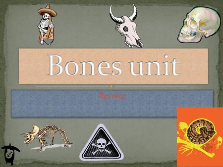 By casey Uses: Protection, Support, Movement Your scull protects your brain Your ribs protect your organs Teeth are not bones The scull doesn't have.