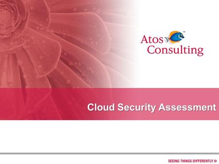 Cloud Security Assessment. 2 CoE IT Leadership.- Progress report Introduction »Cloud computing is an approach in which infrastructure and software resources.